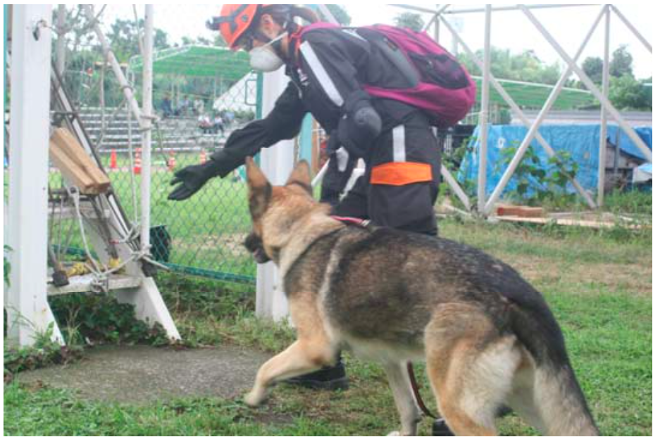災害救助犬訓練
